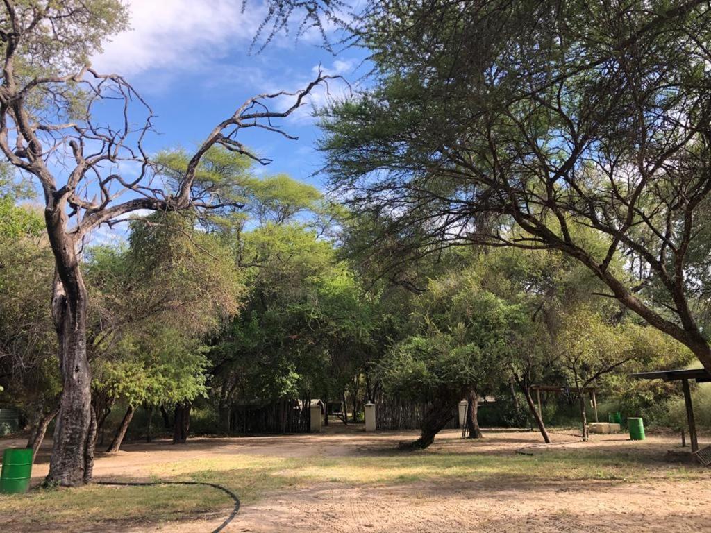 Sitatunga Campsite Maun Eksteriør bilde