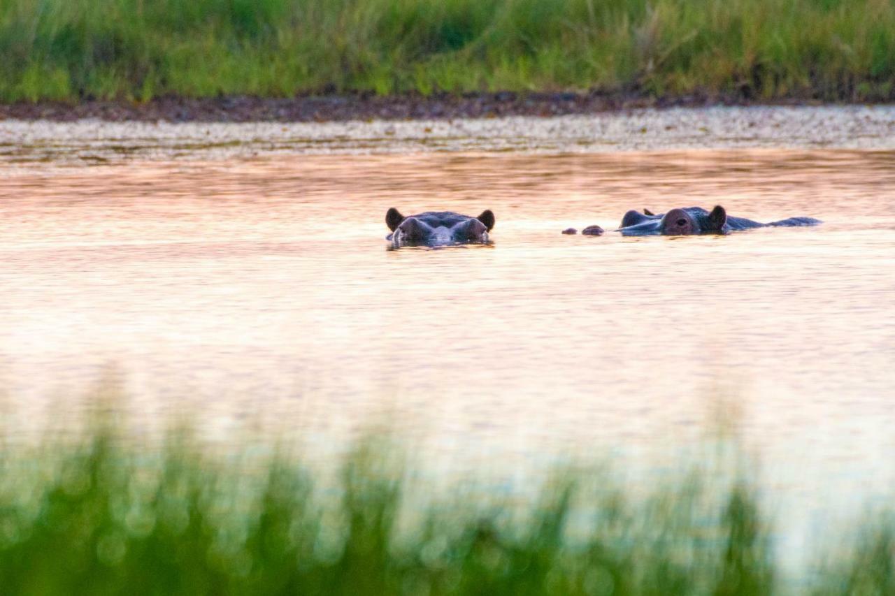 Sitatunga Campsite Maun Eksteriør bilde