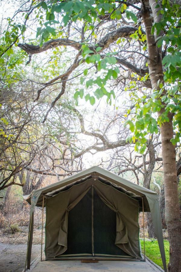 Sitatunga Campsite Maun Eksteriør bilde
